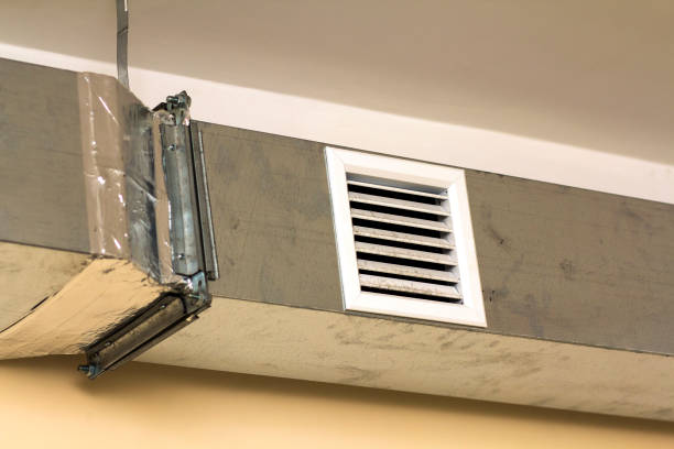 Best Affordable Duct Cleaning Services  in Maquoketa, IA